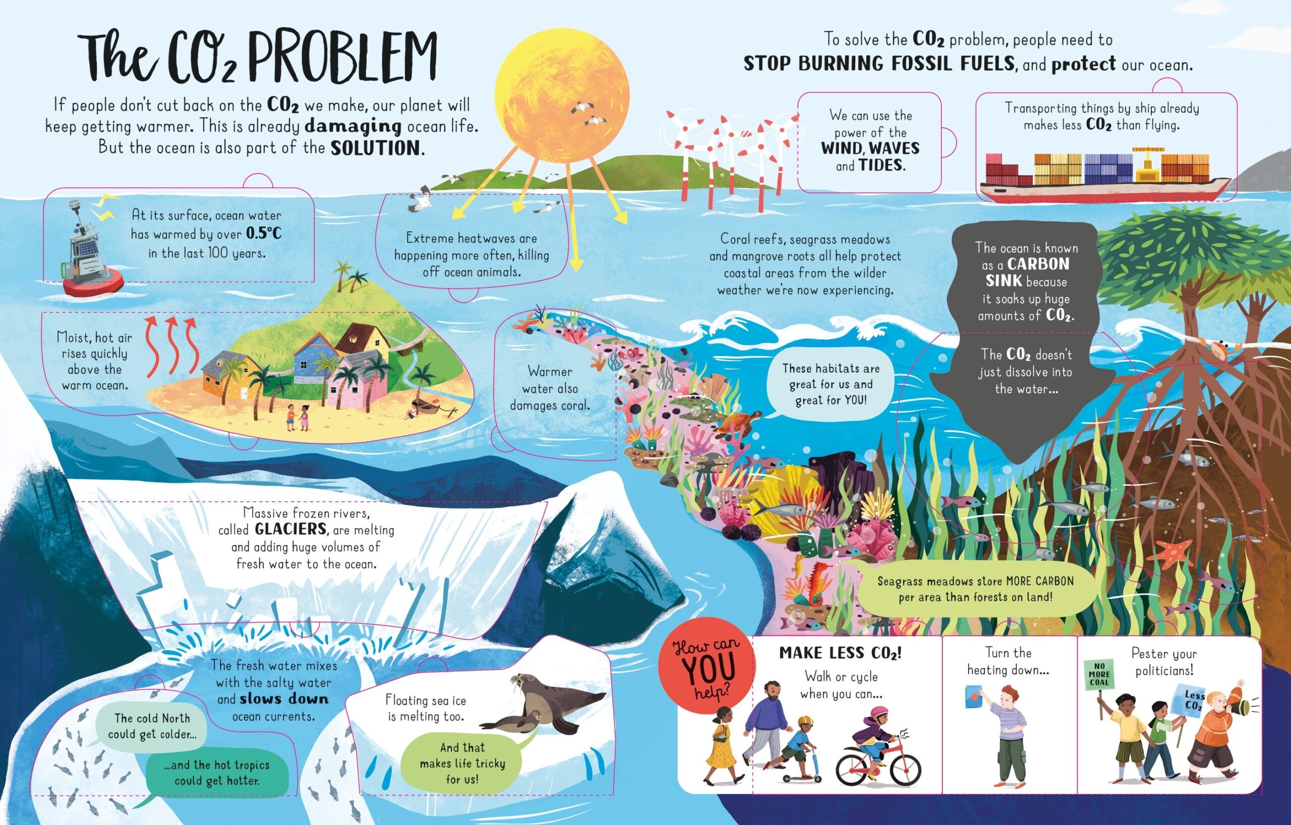 Lift-the-Flap Looking After Our Ocean